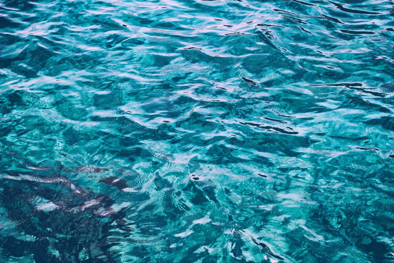 Dettaglio della superficie dell’acqua